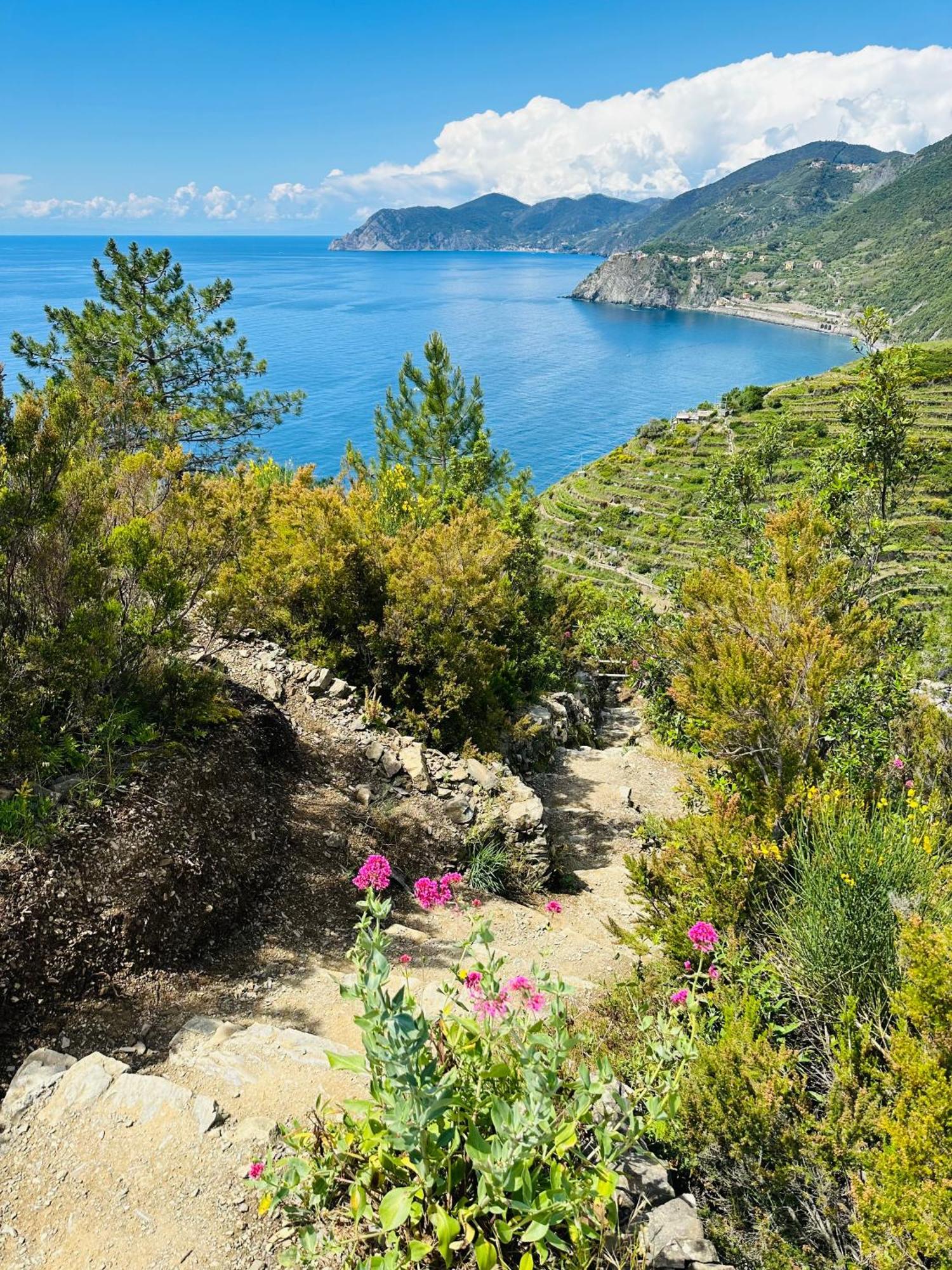 Al Castello Appartement Riomaggiore Buitenkant foto